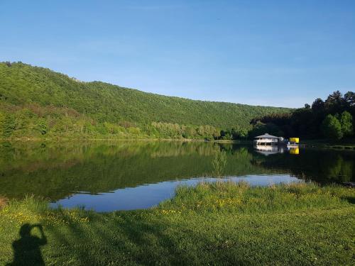 ein Schatten einer Person, die ein Bild von einem See macht in der Unterkunft Ferienwohnung Agnes Mayer in Riedenburg