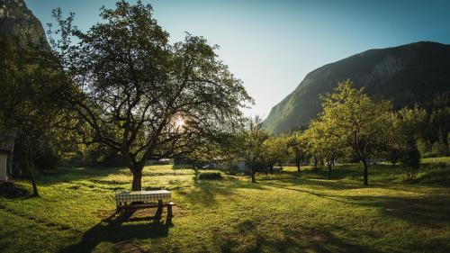 a bench in a field with a tree and mountains at Roja House in Soča
