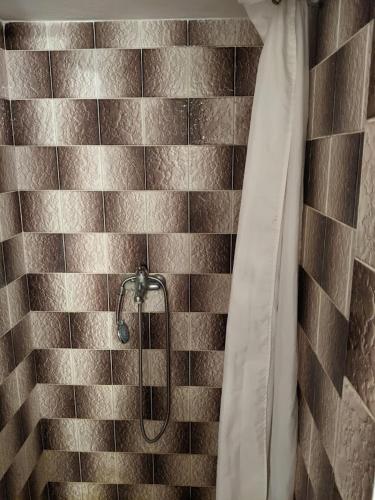 a shower in a bathroom with a tiled wall at Chalupa u rybníka Střehom in Dolní Bousov