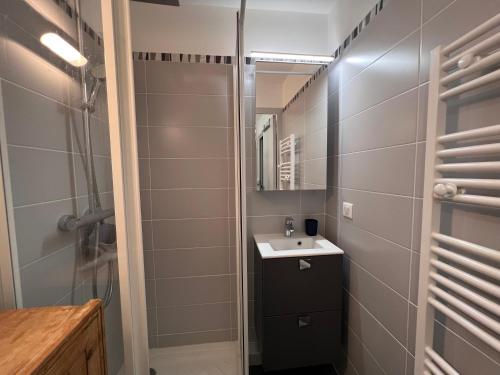 une salle de bain avec un lavabo et une douche dans l'établissement Richemont 10 - proche pistes et belle vue, à La Clusaz