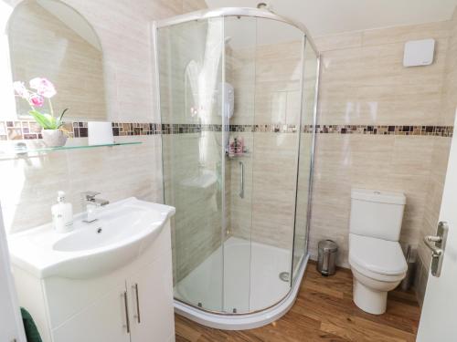 a bathroom with a shower and a sink and a toilet at Fairfield in Ludlow