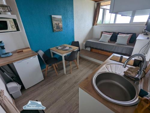 a small room with a sink and a room with a bed at Résidence Terre de Haut in Super Besse