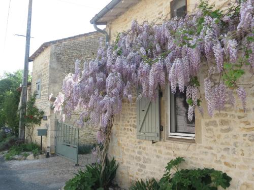 La Maison Mûrier – Photos 2