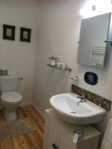 ein Badezimmer mit einem Waschbecken, einem WC und einem Spiegel in der Unterkunft La Maison Mûrier in Chef-Boutonne