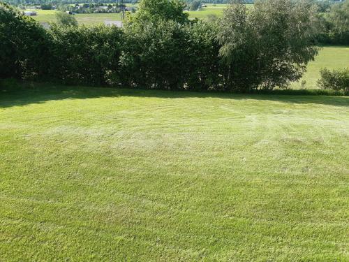 a large field of green grass with a tree at Ferienwohnung Haus Graf in Irdning