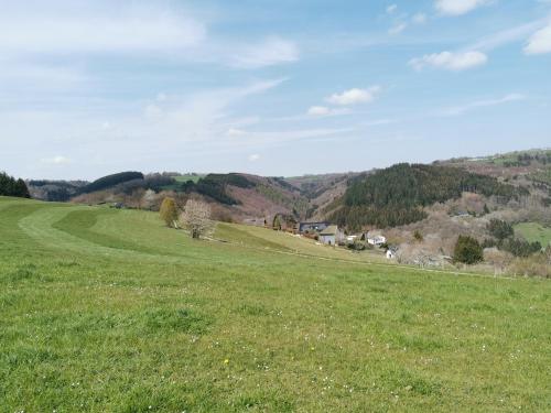 a field of green grass with mountains in the background at Hotel Haus am See in Simmerath