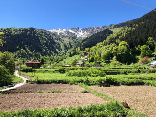 - Vistas a un valle con montaña en Özer Apart, en Uzungöl