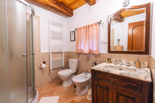 een badkamer met een toilet, een wastafel en een douche bij Chalet Giuel in Bărcuţ