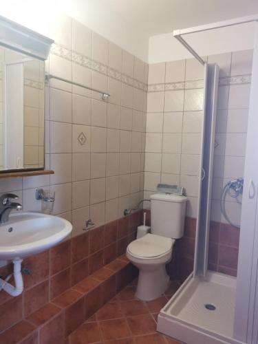 a bathroom with a toilet and a sink at Villa Lithitsa in Parga