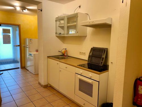 Kuchyň nebo kuchyňský kout v ubytování Apartments Rhona I und II Neunkirchen City