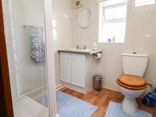 a bathroom with a toilet and a sink and a shower at The Vinery in Gloucester