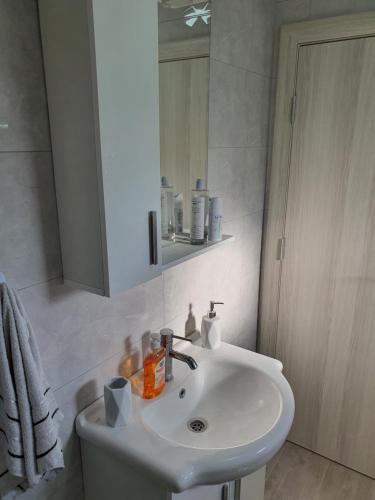 een badkamer met een witte wastafel en een spiegel bij Apartman Tolosi 2 in Podgorica