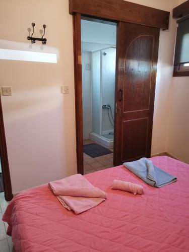 a bedroom with a bed with pink sheets and a mirror at HAMBOULA in Polis Chrysochous
