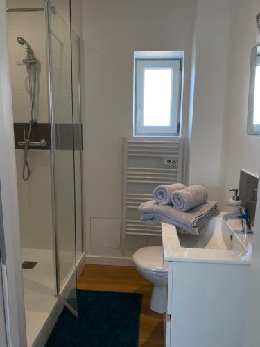 uma casa de banho com um chuveiro, um WC e um lavatório. em Lorient: appartement élégant em Lorient