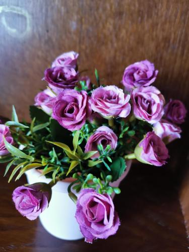 a bouquet of purple roses in a white vase at HAMBOULA in Polis Chrysochous