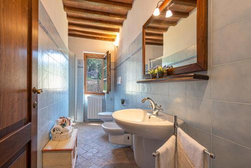 a bathroom with a sink and a toilet and a mirror at Agriturismo Casavaiano in Gambassi Terme