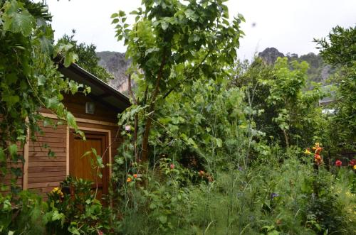 a garden in front of a cabin with trees and weeds at mercan pension in Olympos