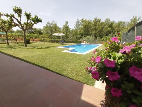 特倫普的住宿－Hort de la Font，一个带游泳池和粉红色鲜花的庭院