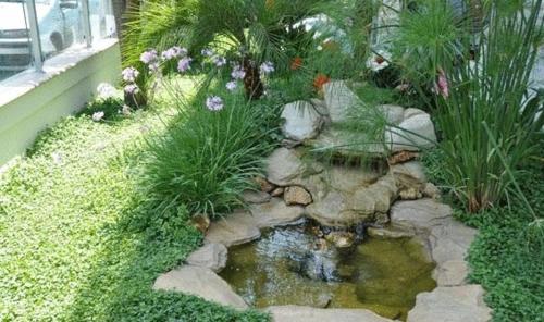 a garden with a pond and some plants at Hotel Haus Charlotte in San Benedetto del Tronto