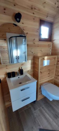 een badkamer met een wastafel en een spiegel bij Gemini MiniDomki in Ustka