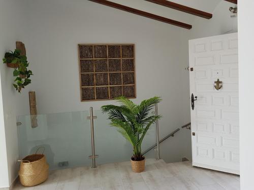a plant in a room with a door and a window at La Trufa - modern, spacious home in Moraira with panoramic sea views in Moraira
