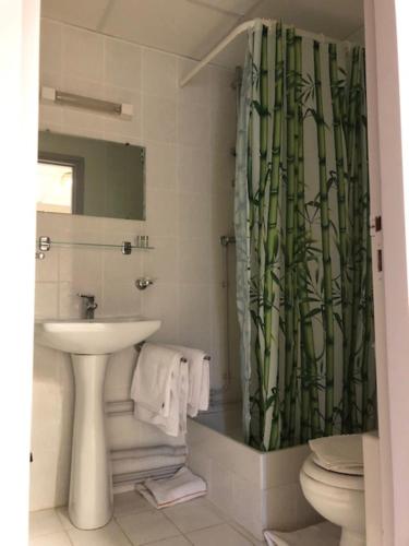 a bathroom with a sink and a shower curtain at Hôtel De La Mare -restaurant pour les clients sur réservation in Avrigny