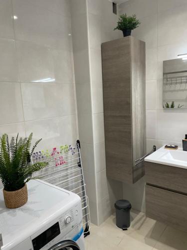 une salle de bain avec une machine à laver et un lavabo dans l'établissement Le Splendid NICE centre Ville, à Nice