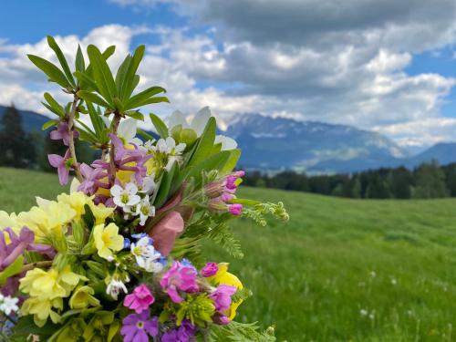 a hand holding a bouquet of flowers in a field at Obersdorfer Hof in Bad Mitterndorf