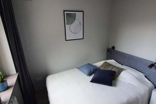 łóżko z 2 niebieskimi poduszkami w pokoju w obiekcie Apartament 710 w mieście Katowice