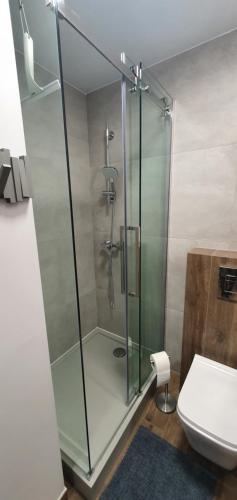 uma cabina de duche em vidro numa casa de banho com WC em Apartament 710 em Katowice