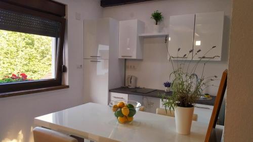 Gallery image of Guest House Iva in Slunj