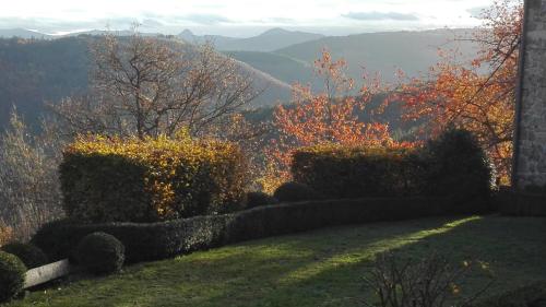 a garden with hedges and a view of the mountains at Bérard in Intres