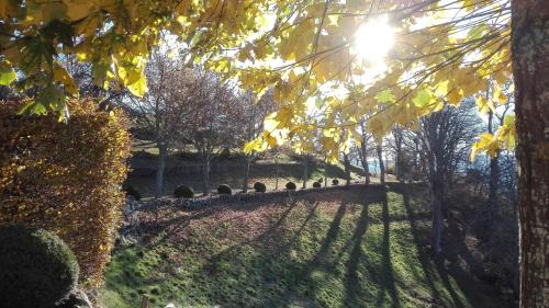 a park with trees and the sun shining through at Bérard in Intres