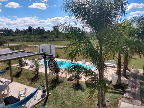 una palmera y una hamaca junto a una piscina en Chajari Suites en Chajarí