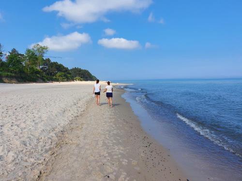 dwoje ludzi spacerujących po plaży w pobliżu wody w obiekcie Szara Gąska w Gąskach w Gąskach