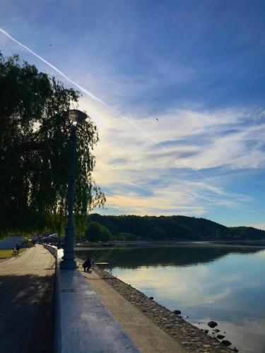 a street light next to a body of water at Apartman studio Milojkovic in Golubac