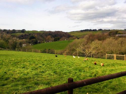 Gallery image of Bosvean House Bed & Breakfast in Bude