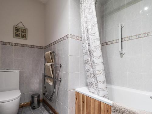 a bathroom with a shower curtain and a toilet at Boatman's Cottage in Coillemore