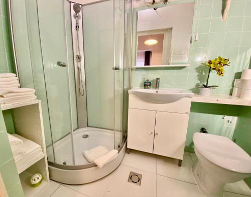 e bagno con doccia, servizi igienici e lavandino. di B20 Apartment a Budapest