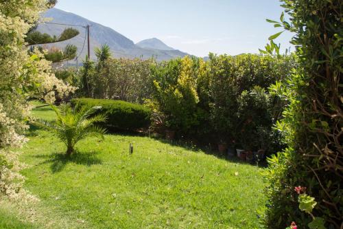 a garden with a palm tree in the grass at Villa Erofili Plakias south Rethimno Crete in Asómatoi