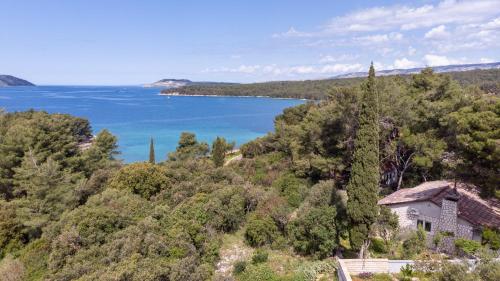 a house on a hill next to a body of water at Villa Pinus in Stari Grad