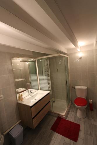 ショレにあるApparts Gites Cholet centreのバスルーム(洗面台、トイレ、シャワー付)