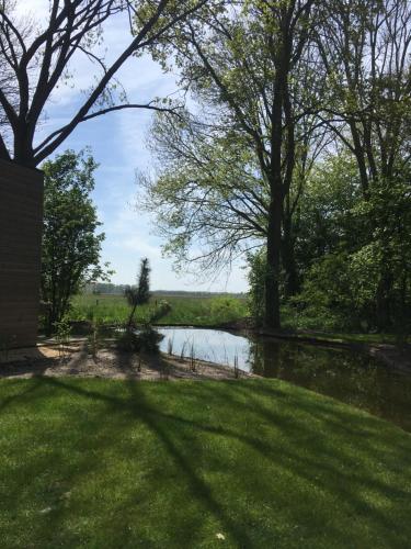 Fraai Tiny House aan het veluwemeer met uitzicht & veranda في هولْسْهورست: اطلاله على نهر به اشجار وعشب