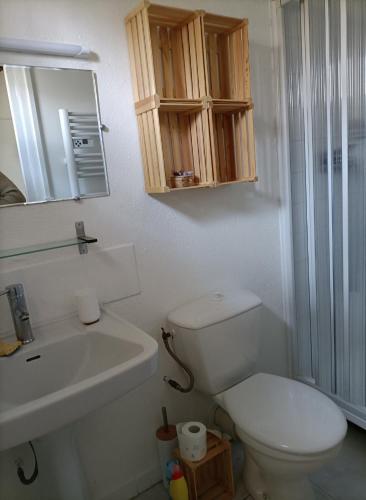 a bathroom with a toilet and a sink and a mirror at L'esquiróu in Rocbaron