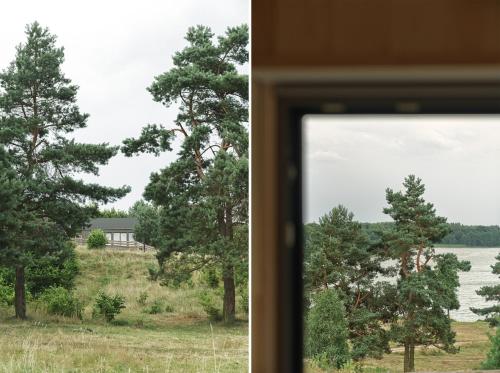 a window view of a field with trees and a house at domki w lesie Gdańsk 35 km in Bożepole Królewskie