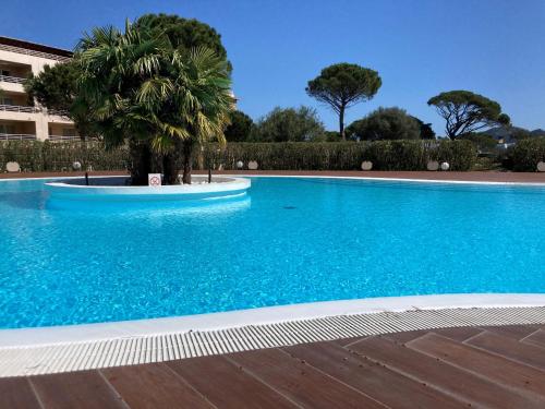 une piscine bleue avec un palmier à côté d'un bâtiment dans l'établissement Résidence Luxe à Porto Vecchio, à Porto-Vecchio