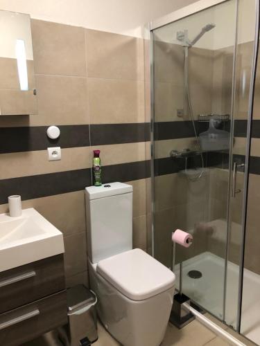 La salle de bains est pourvue de toilettes et d'une douche en verre. dans l'établissement Résidence Luxe à Porto Vecchio, à Porto-Vecchio