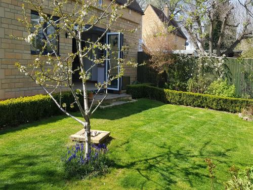 a tree in a yard next to a house at Rosemead in Moreton in Marsh