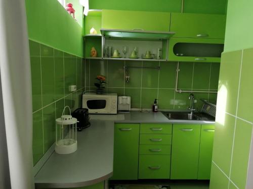 - une cuisine verte avec évier et four micro-ondes dans l'établissement Nexus Studio Deluxe, à Miercurea-Ciuc