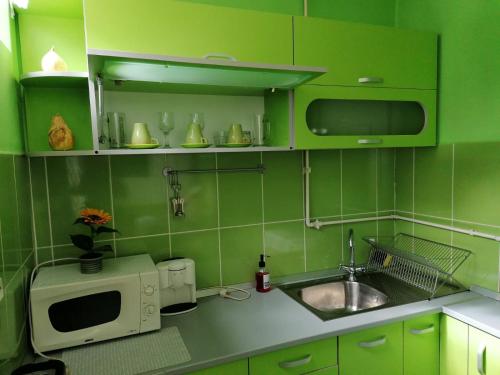 una cucina verde con lavandino e forno a microonde di Nexus Studio Deluxe a Miercurea-Ciuc